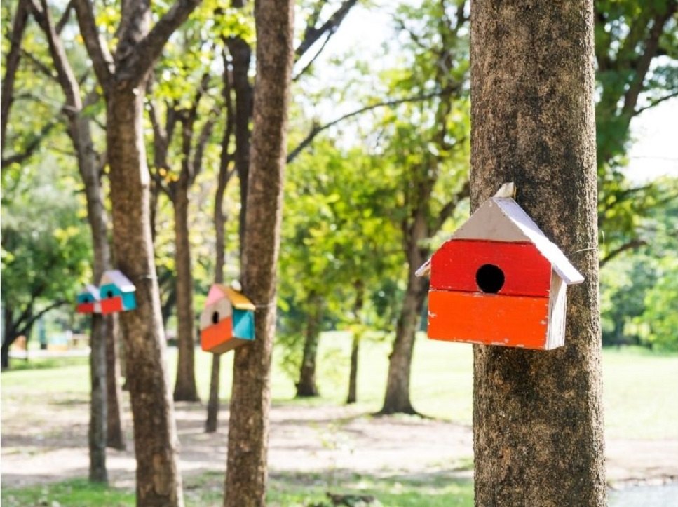 A városokban élő madaraknak a madáretetők mellé telepített fészkelődobozok nyújtanak segítséget.