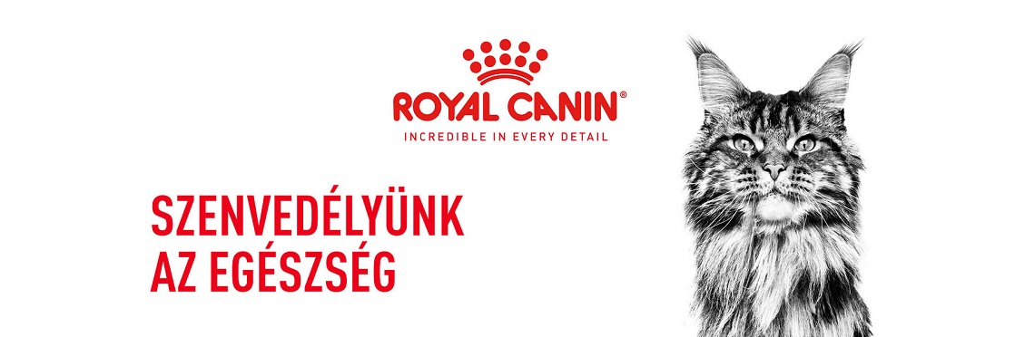 ROYAL CANIN MAINE COON ADULT
