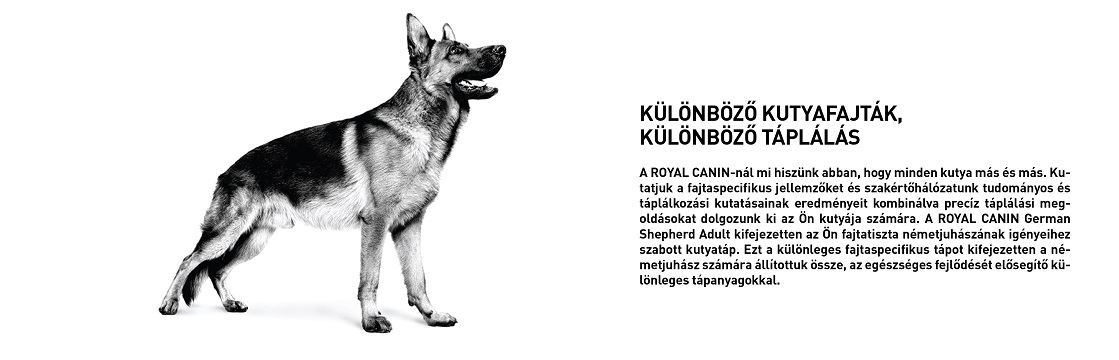 ROYAL CANIN GERMAN SHEPHERD ADULT - Német Juhász felnőtt kutya száraz táp 