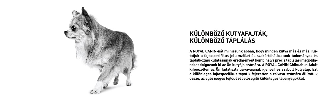 ROYAL CANIN CHIHUAHUA ADULT - Csivava felnőtt fajta kutya száraz táp