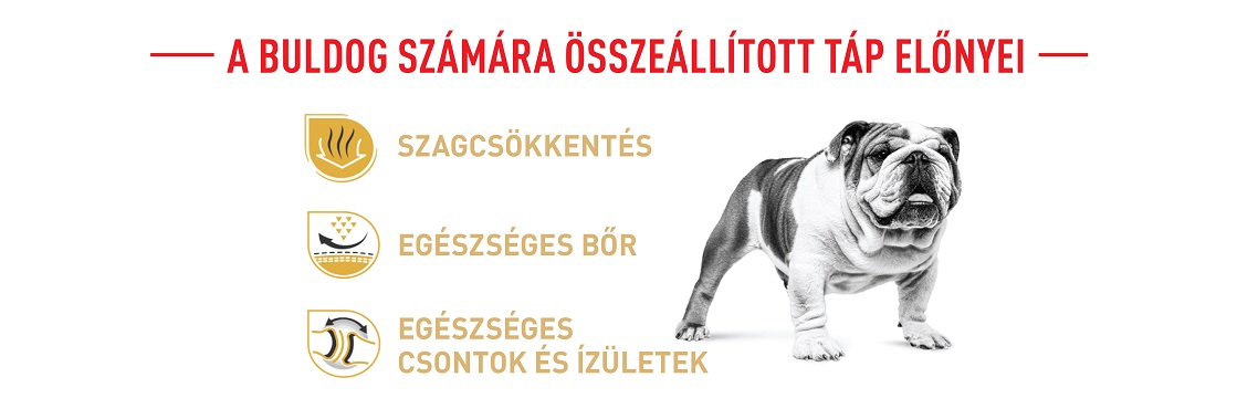 ROYAL CANIN BULLDOG ADULT - Angol Bulldog felnőtt kutya száraz táp