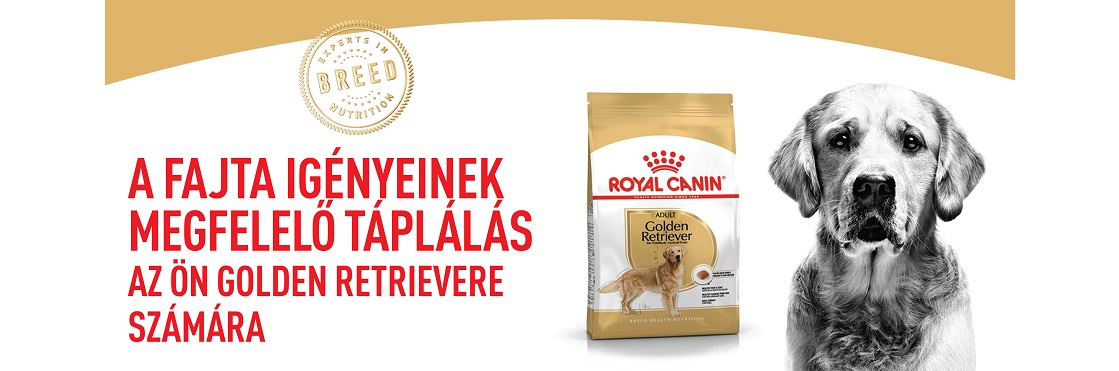 ROYAL CANIN GOLDEN RETRIEVER ADULT - Golden Retriever felnőtt kutya száraz táp