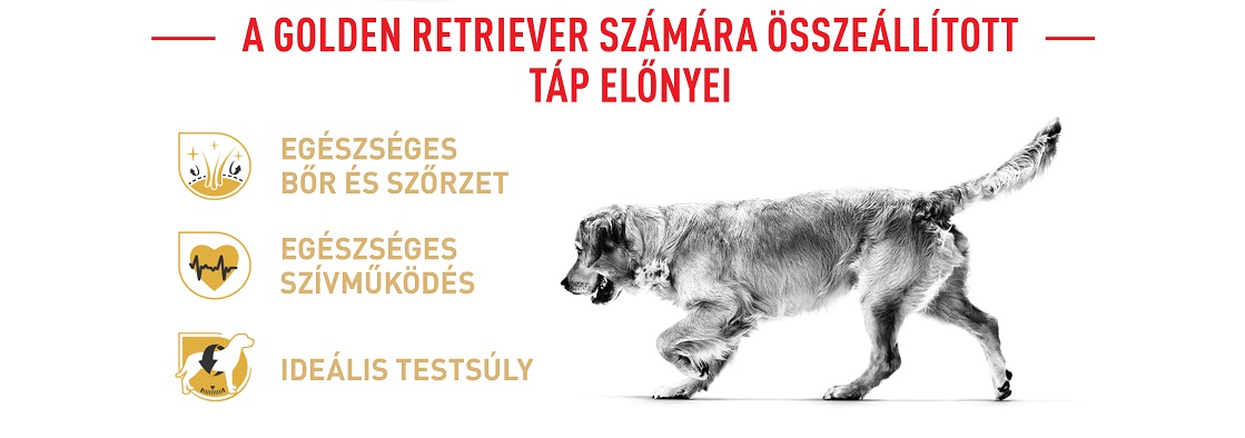 ROYAL CANIN GOLDEN RETRIEVER ADULT - Golden Retriever felnőtt kutya száraz táp