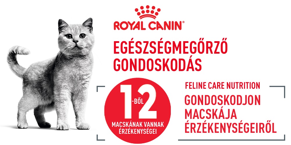 ROYAL CANIN Appetite Control Jelly 85 g felnőtt túlzott étvágyú macskák esetében