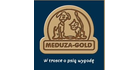 MEDUZA logo