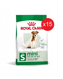 ROYAL CANIN Mini Adult 8+ 800 g szárazeledel idős kutyáknak 8-12 éves korig kis fajtáknak x 15