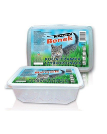 BENEK Gyors növekedésű macskafű, tartály 150 g