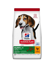 HILL'S Science Plan Canine Puppy Medium Chicken 18 kg közepes fajtájú kutyaeledel csirke