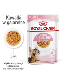 ROYAL CANIN Kitten Sterilised Cica sterilizált zselében 48 x 85 g
