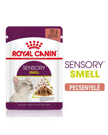 ROYAL CANIN SENSORY SMELL GRAVY 24x85g - nedves eledel szószban felnőtt macskáknak a szaglás serkentése érdekében
