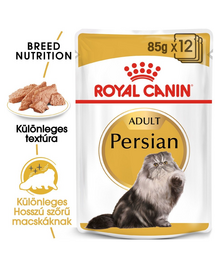 ROYAL CANIN Persian Adult 12 x 85g pástétom felnőtt perzsa macskák esetében