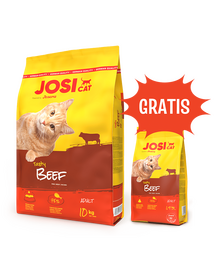 JOSERA JosiCat Tasty Beef 10 kg száraz macskaeledel marhahússal + 1,9 kg eledel INGYENES