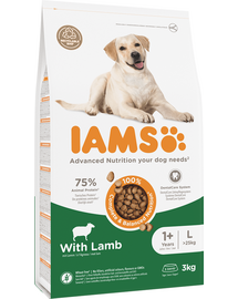 IAMS For Vitality Adult Large Breed Lamb 3 kg