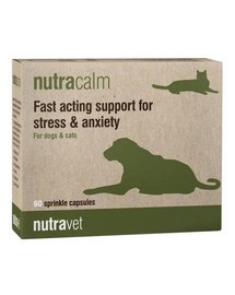 NUTRAVET Nutracalm 60 kapszula stressz és szorongás ellen kutyák és macskák számára