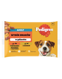 PEDIGREE Adult Choice of Flavors 4x100g teljes értékű nedves eledel felnőtt kutyáknak, marhahús és máj keverékével, baromfival, zselében