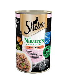 puszka 400 g Nature's Collection z łososiem przybranym batatem i fasolką szparagową w sosie