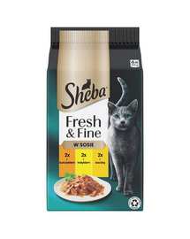 SHEBA Fresh & Fine 6x50 g nedves macskaeledel csirke-, pulyka- és kacsa-mártásban