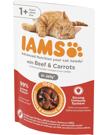 IAMS Cat Beef & Carrots Jelly karma dla kota z wołowiną w galaretce 85g