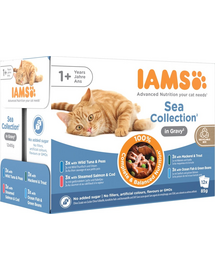 IAMS Cat Delights Adult All Breeds Sea In Jelly Pouch 12 x 85 g