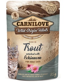 Cat Pouch Trout & Echinacea 85g pstrąg i jeżówka