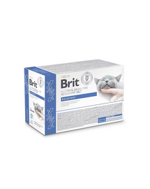 BRIT Veterinary Diet Grain Free Recovery Cat Fillets in Gravy Salmon 12x85g macskák számára felépülési időszakban