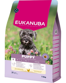 EUKANUBA Puppy Small Breeds Chicken 7,5 kg száraz táp kiskutyák számára kis fajtákhoz friss csirkével gazdagítva