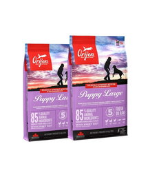 ORIJEN Puppy Large 22,8 kg (2 x 11,4 kg)