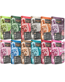 zestaw mix smaków 72x85g