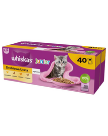 Junior Drobiowa Uczta 40x85g mokra karma z kurczakiem, kaczką, drobiem i indykiem w galaretce dla kociąt
