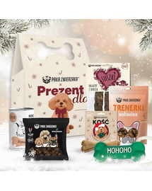 Box świąteczny dla psa