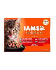 IAMS Cat Delights Adult All Breeds Ocean Fish In Jelly Pouch 12 x 85 g