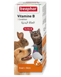 BEAPHAR Vitamin B Complex B-vitamin készlet 50 ml