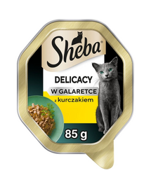 SHEBA Delicacy csirkével zselében 85 g nedves macskaeledel