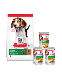 HILL'S Science Plan Puppy Közepes fajtájú szárazeledel rizzsel és bárányhússal 14 kg + 3 doboz INGYENES