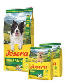 JOSERA Salmon and Potato Adult 12,5kg bezzbożowa karma dla psów z wrażliwym żołądkiem + 2x900g karmy GRATIS