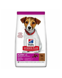 HILL'S Science Plan Puppy Small Mini Lamb and Rice 6 kg bárányhússal és rizzsel, száraz táp kiskutyák számára