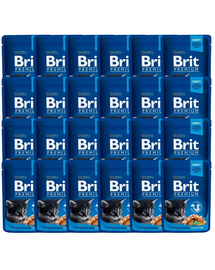 Premium Kitten kurczak dla kociąt saszetka 24 x 100 g
