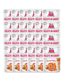Care Fillets in gravy savory salmon 24 x 85 g filety łososia w sosie