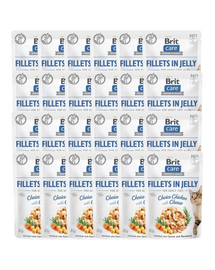 Care Fillets in Jelly Choice Chicken&Cheese 24 x 85 g Kurczak i ser