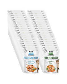 BRIT Care Fillets in Jelly Mix ízek 48 x 85 g pulyka és garnéla, tonhal macskának