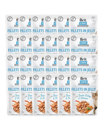 Care Fillets in Jelly indyk i krewetki saszetki dla kota 24 x 85 g