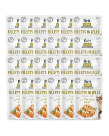 Care Fillets in Jelly with Fine Trout & Cod 24 x 85 g Dorsz i pstrąg