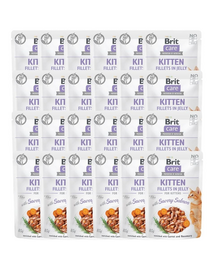 Care Kitten Fillets in Jelly Savory Salmon 24 x 85 g Łosoś
