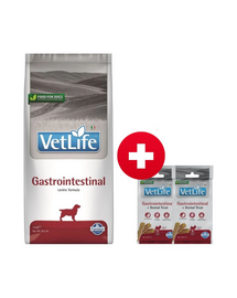 FARMINA Vet Life Gastrointestinal Dog 12 kg + 2x FARMINA Vet Life Dental Treat Gastrointestinal Mini 60 g (7 db) AJÁNDÉK!