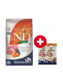 FARMINA N&D Pumpkin lamb&blueberry Adult Medium Maxi 12 kg + 3 x FARMINA N&D Pumpkin Dental Treat Lamb Blueberry Mini 60 g (7 db) AJÁNDÉK!