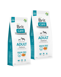 BRIT Care Grain-free Adult kutyatáp lazaccal 2 x 12 kg