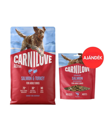 CARNILOVE Active Dog Salmon and Turkey Adult 4 kg lazac és pulyka kutyáknak + CARNILOVE Dog Crunchy Snack Salmon 200g AJÁNDÉK