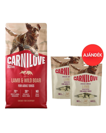 CARNILOVE Active Dog Lamb and Wild Boar Adult 12 kg bárány és vaddisznó kutyáknak + CARNILOVE Dog Freeze Dried Lamb 2x60g AJÁNDÉK