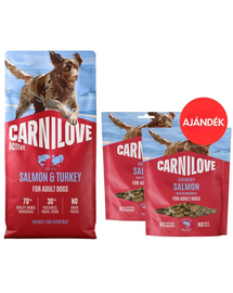 CARNILOVE Active Dog Salmon and Turkey Adult 12 kg lazac és pulyka aktív kutyáknak + CARNILOVE Dog Crunchy Snack Salmon 2x200g AJÁNDÉK