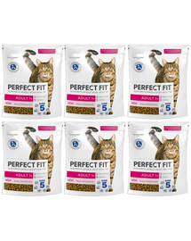 PERFECT FIT Adult 1+ 6x750 g sucha karma pełnoporcjowa dla dorosłych kotów bogata w świeżego łososia
